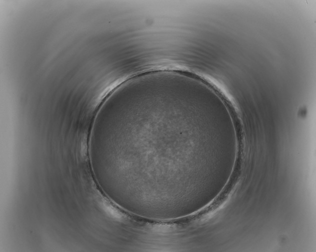 X0000092030889200709131616