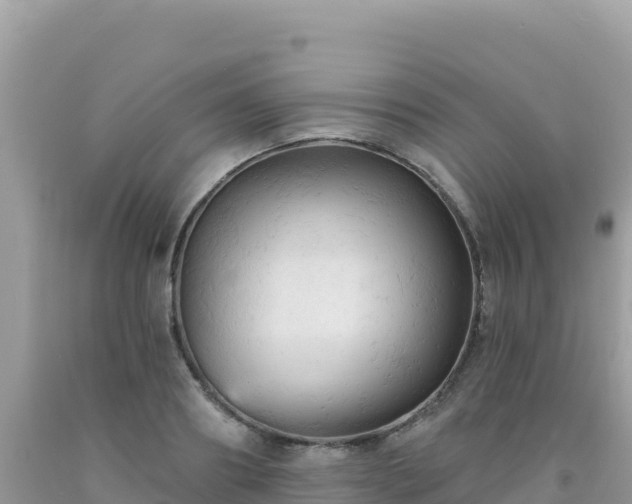 X0000092030890200709131616