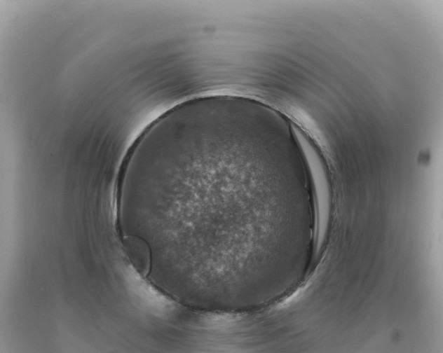 X0000092030892200709131616