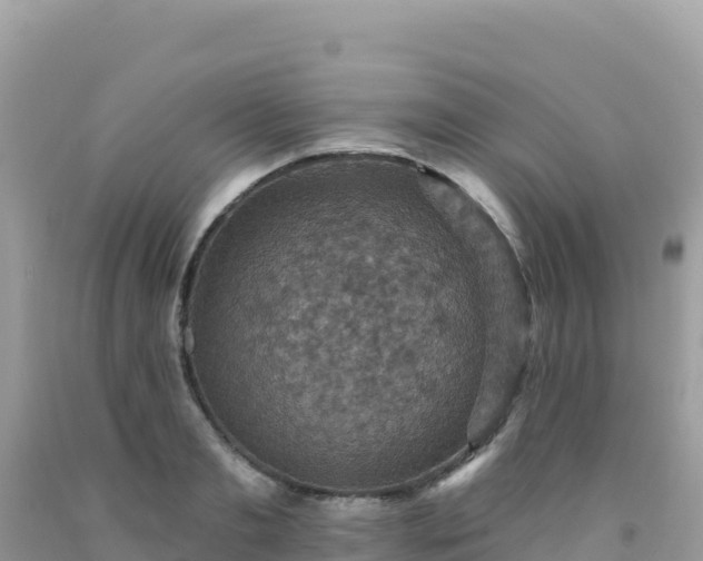 X0000092030893200709131616