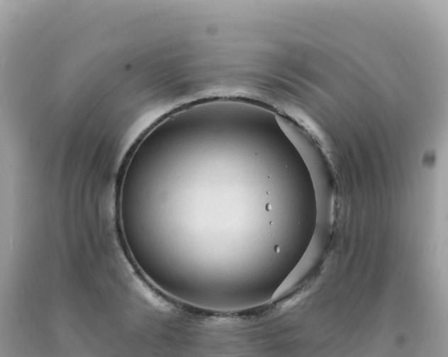 X0000092030894200709131616