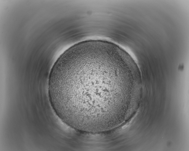 X0000092030895200709131616
