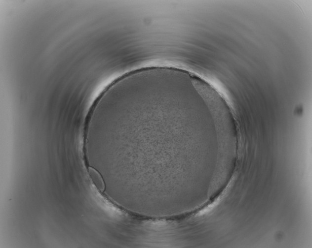 X0000092030896200709131616
