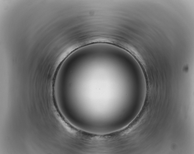 X0000092030898200709131616