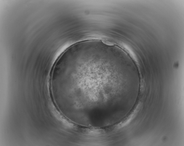 X0000092030899200709131616