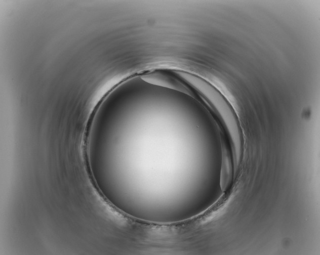 X0000092030901200709131616