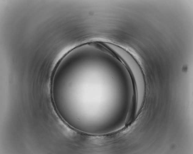 X0000092030902200709131616
