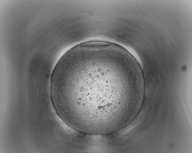 X0000092030903200709131616