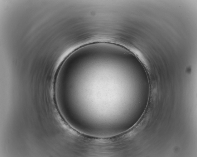 X0000092030904200709131616