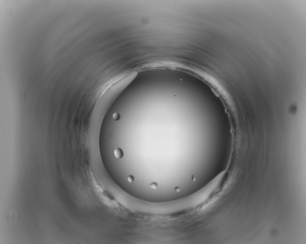 X0000092030905200709131616