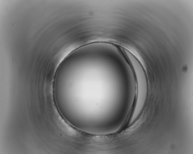X0000092030906200709131616