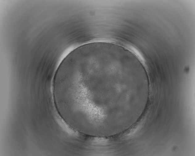 X0000092030907200709131616