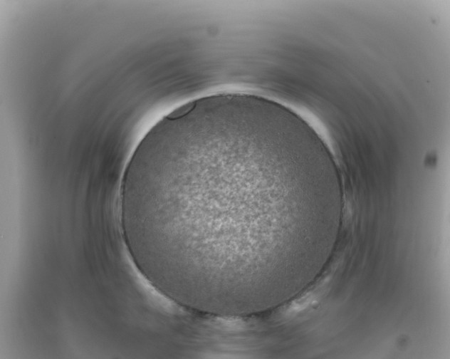X0000092030911200709131616