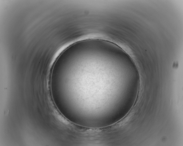 X0000092030912200709131616