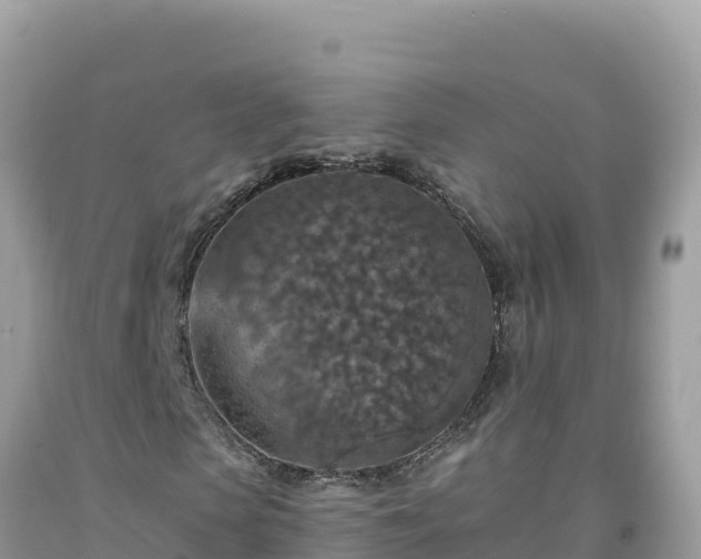 X0000092030913200709131616