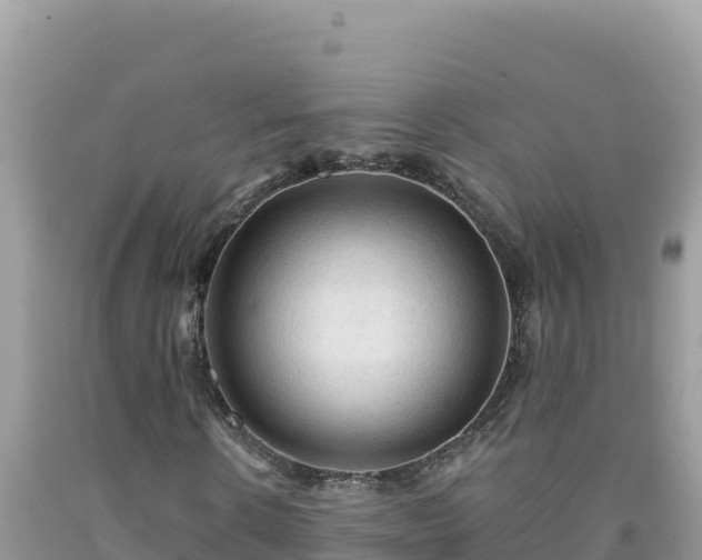 X0000092030914200709131616