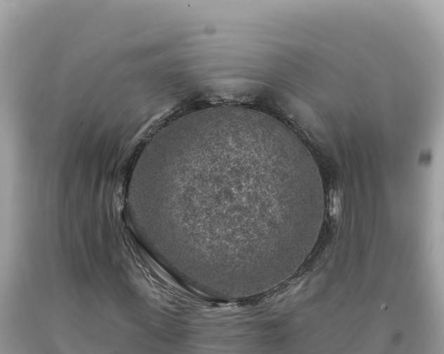 X0000092030915200709131616