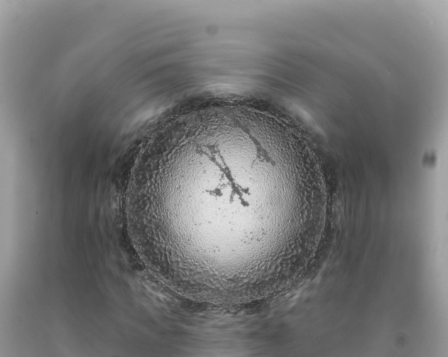 X0000092030917200709131616