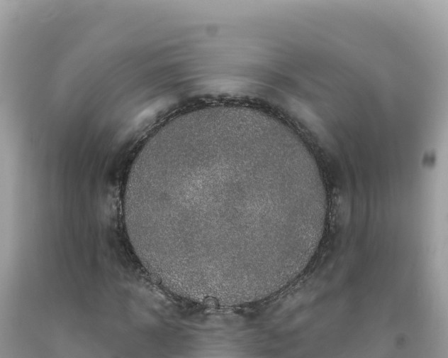 X0000092030918200709131616