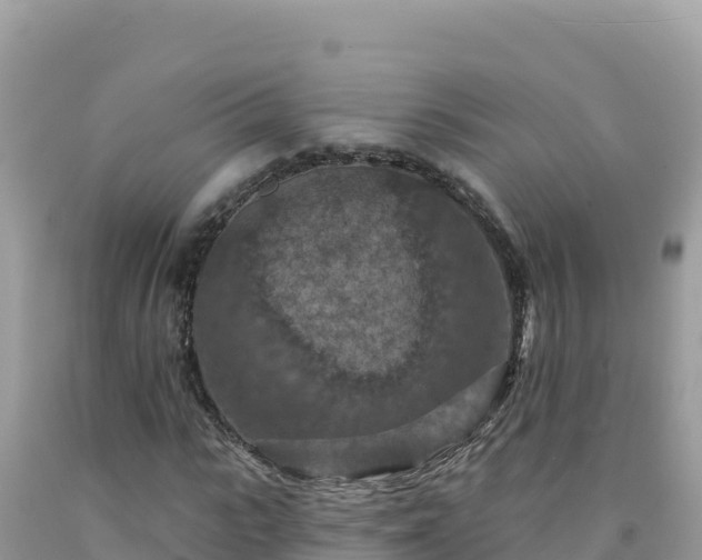 X0000092030919200709131616