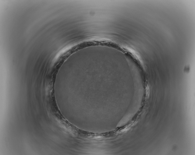 X0000092030920200709131616