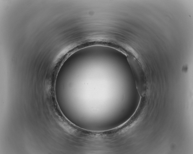 X0000092030922200709131616