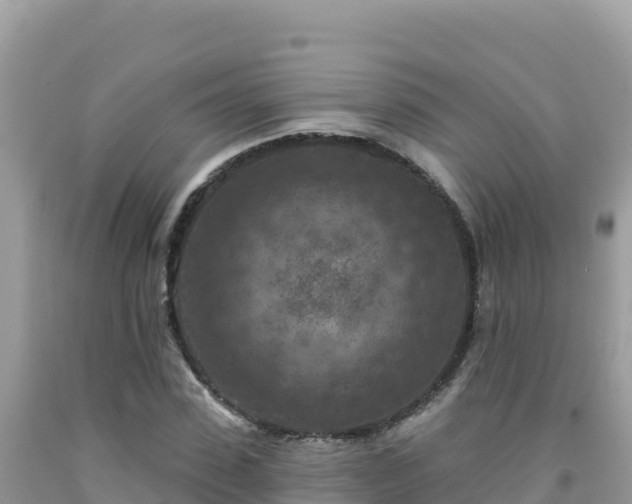 X0000092030923200709131616