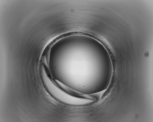 X0000092030924200709131616