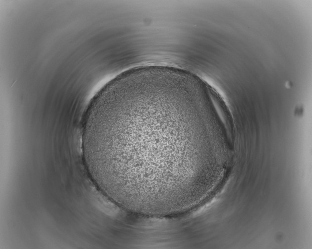 X0000092030925200709131616
