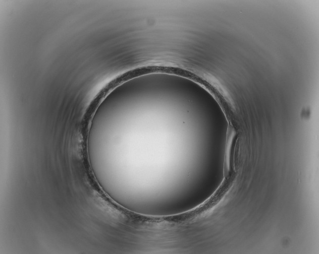 X0000092030926200709131616