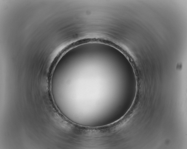 X0000092030927200709131616
