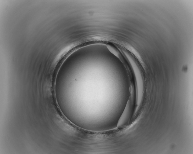 X0000092030930200709131616