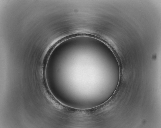 X0000092030931200709131616