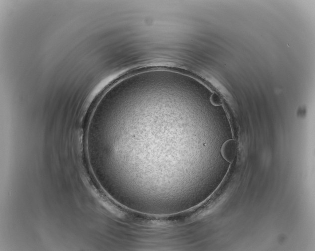 X0000092030933200709131616