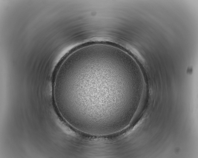 X0000092030934200709131616