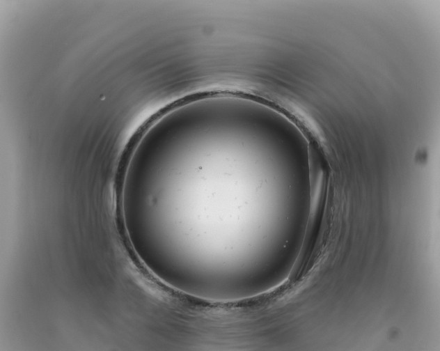 X0000092030936200709131616