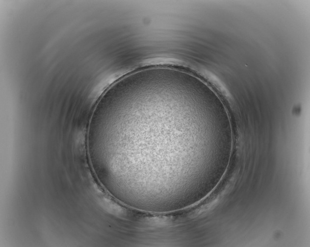X0000092030937200709131616
