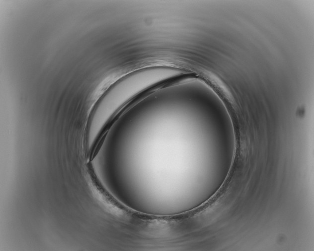 X0000092030938200709131616