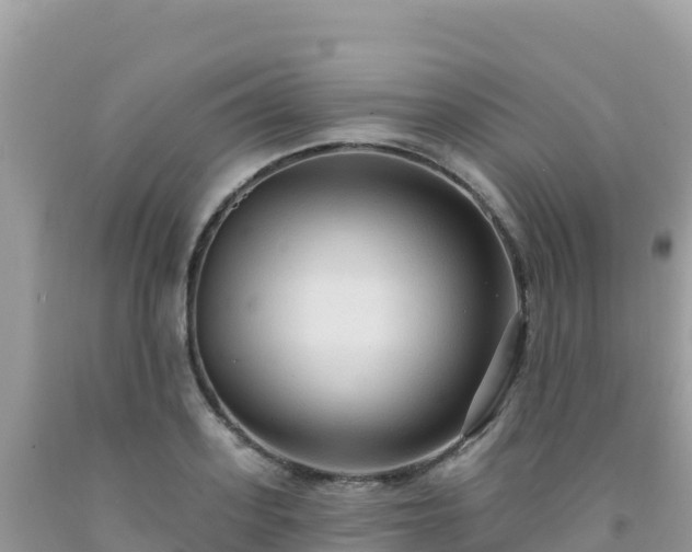 X0000092030939200709131616