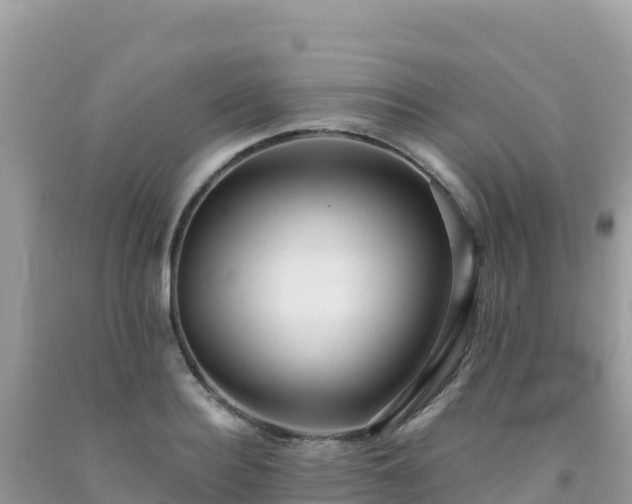 X0000092030940200709131616