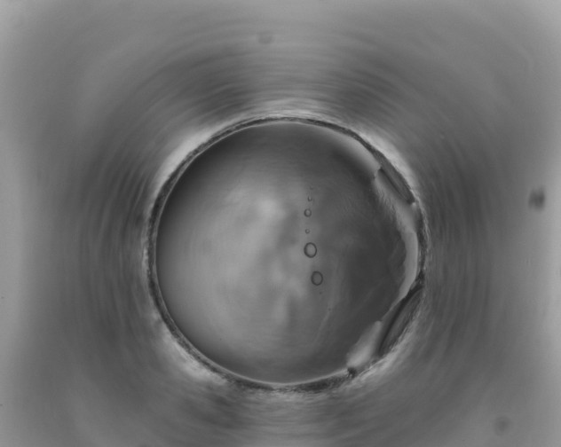 X0000092030941200709131616
