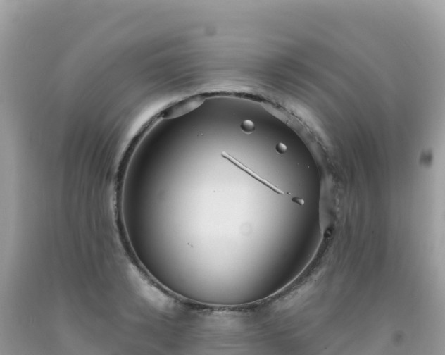 X0000092030942200709131616