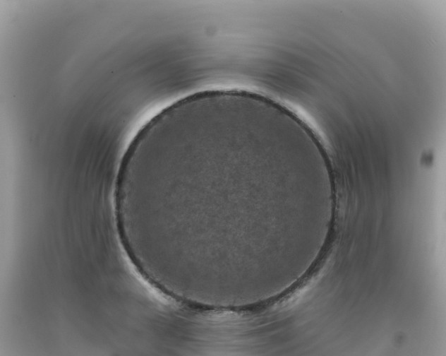 X0000092030943200709131616