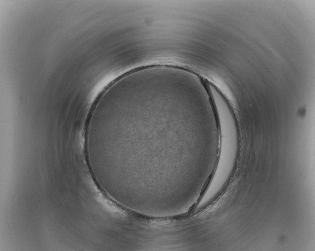 X0000092030944200709131616