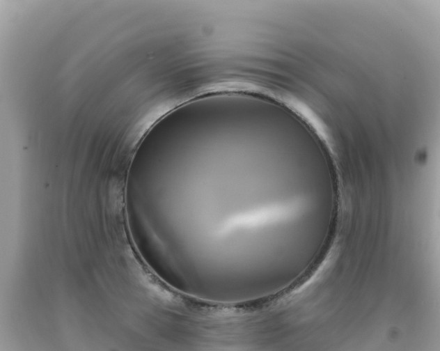 X0000092030945200709131616