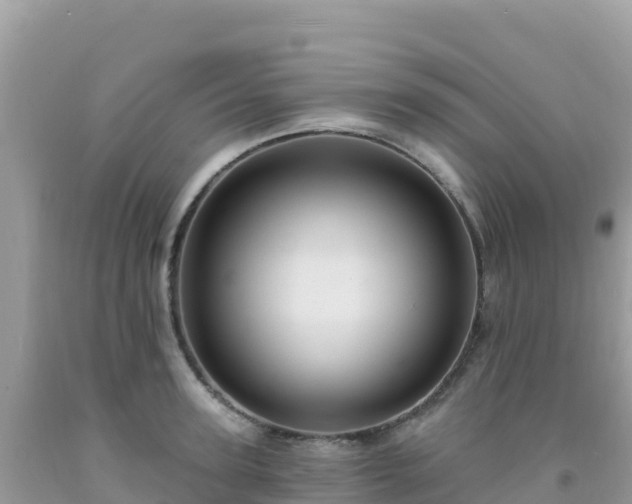 X0000092030947200709131616