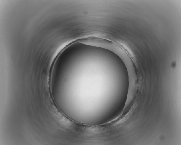 X0000092030948200709131616