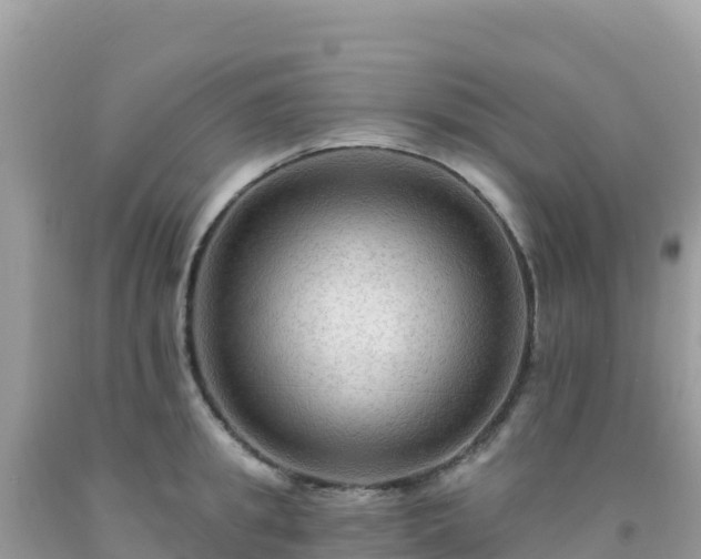 X0000092030949200709131616