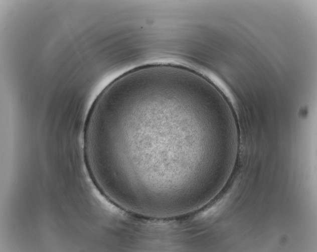 X0000092030951200709131616