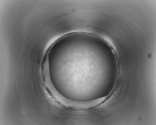 X0000092030952200709131616